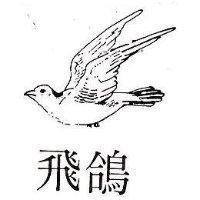 飛鴿及圖