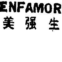 美強生 ENFAMOR 