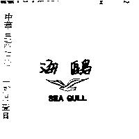 海鷗 SEA GULL 