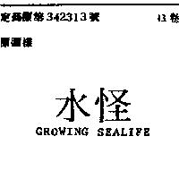 水怪 GROWING SEALIFE