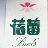 蓓蕾及圖 BUD ’ S
