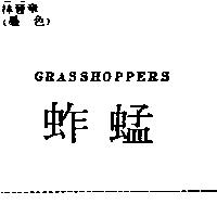 蚱蜢 GRASSHOPPERS