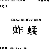 蚱蜢 GRASSHOPPERS