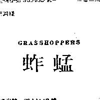 蚱蜢 GRASSHOPPERS