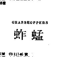 蚱蜢 GRASSHOPPERS