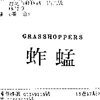 蚱蜢 GRASSHOPPERS