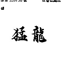 猛龍