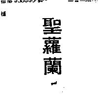 聖蘿蘭 YSL
