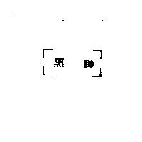 黑獅
