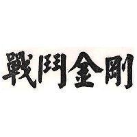 戰鬥金剛