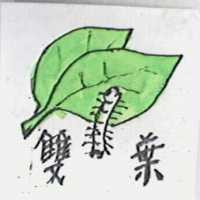 雙葉及圖
