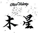 木星 REX SALENTY