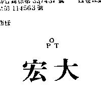 宏大 OPT
