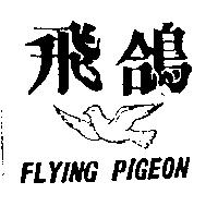 飛鴿 FLYING PIGEON 及圖