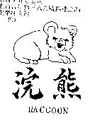 浣熊及圖 RACCOON