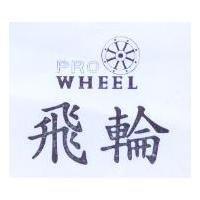 飛輪及圖 PRO WHEEL
