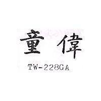 童偉 TW – 228GA