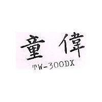 童偉 TW – 300DX