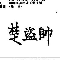 楚盜帥