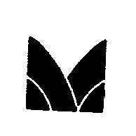 村井圖樣