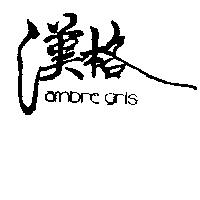 漢格及圖 ambre gris