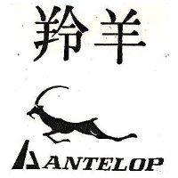 羚羊及圖 ANTELOP