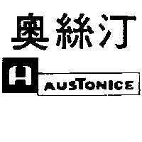 奧絲汀及圖 AUSTONICE