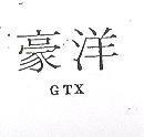 豪洋 GTX