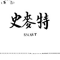 史麥特 SMART