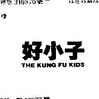 好小子 THE KUNG FU KIDS