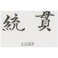 統貫 TIGER