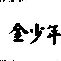 金少年