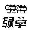 綠草 GREEN GRASS