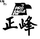 正峰及圖 PROEAGLEEYE