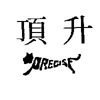 頂升及圖 PRECISE