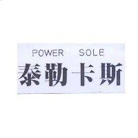泰勒卡斯 POWER SOLE