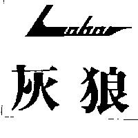 灰狼及圖
