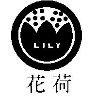 荷花及圖 LILY