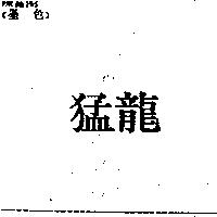 猛龍