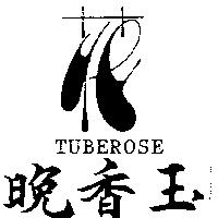 晚香玉及圖 TUBEROSE