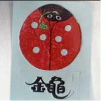 金龜及圖