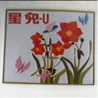 星兒– U 及圖