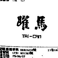 躍馬 TAI-CAN