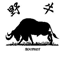 野牛及圖 KOUPREY