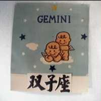 双子座及圖 GEMINI