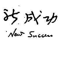 新成功 NEW SUCCESS 