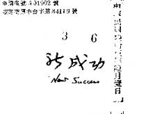 新成功 NEW SUCCESS 