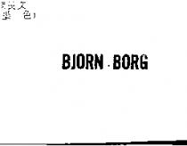 BJORN BORG