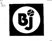 BJORN BORG BJ LOGO