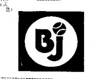 BJORN BORG BJ LOGO